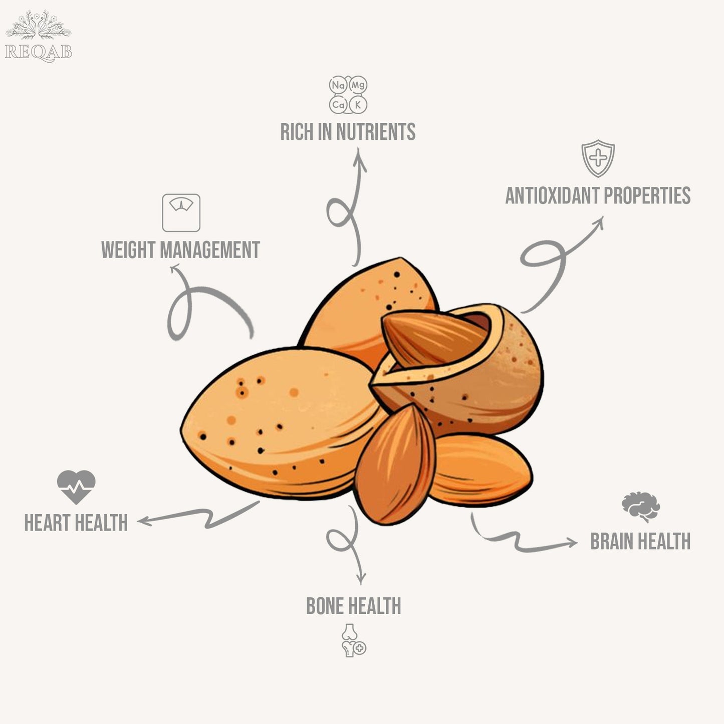 Kashmiri Almond Kernels