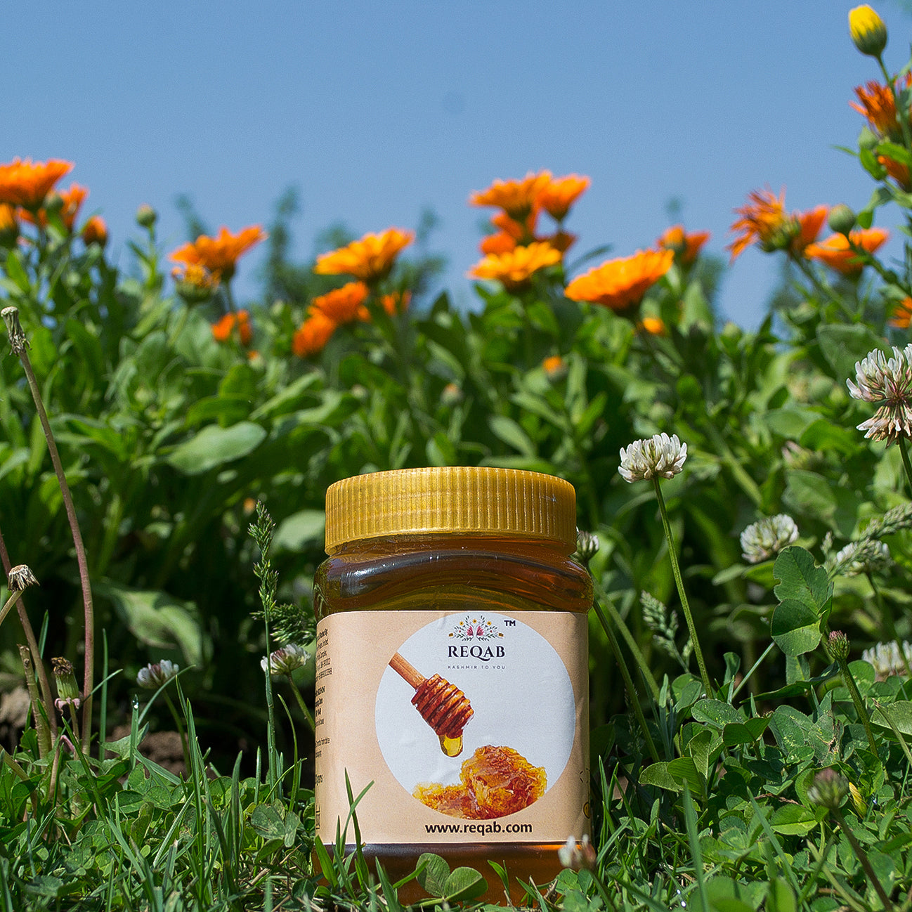 Kashmiri Organic Honey