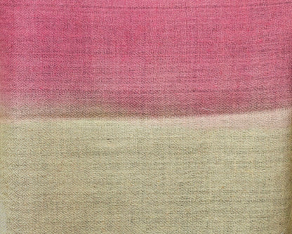 Charm & Bison Hide Duo-Tone Pashmina Stole