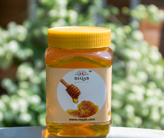 Kashmiri Organic Honey
